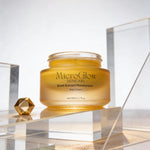 Snail Extract Moisturizing Night Cream